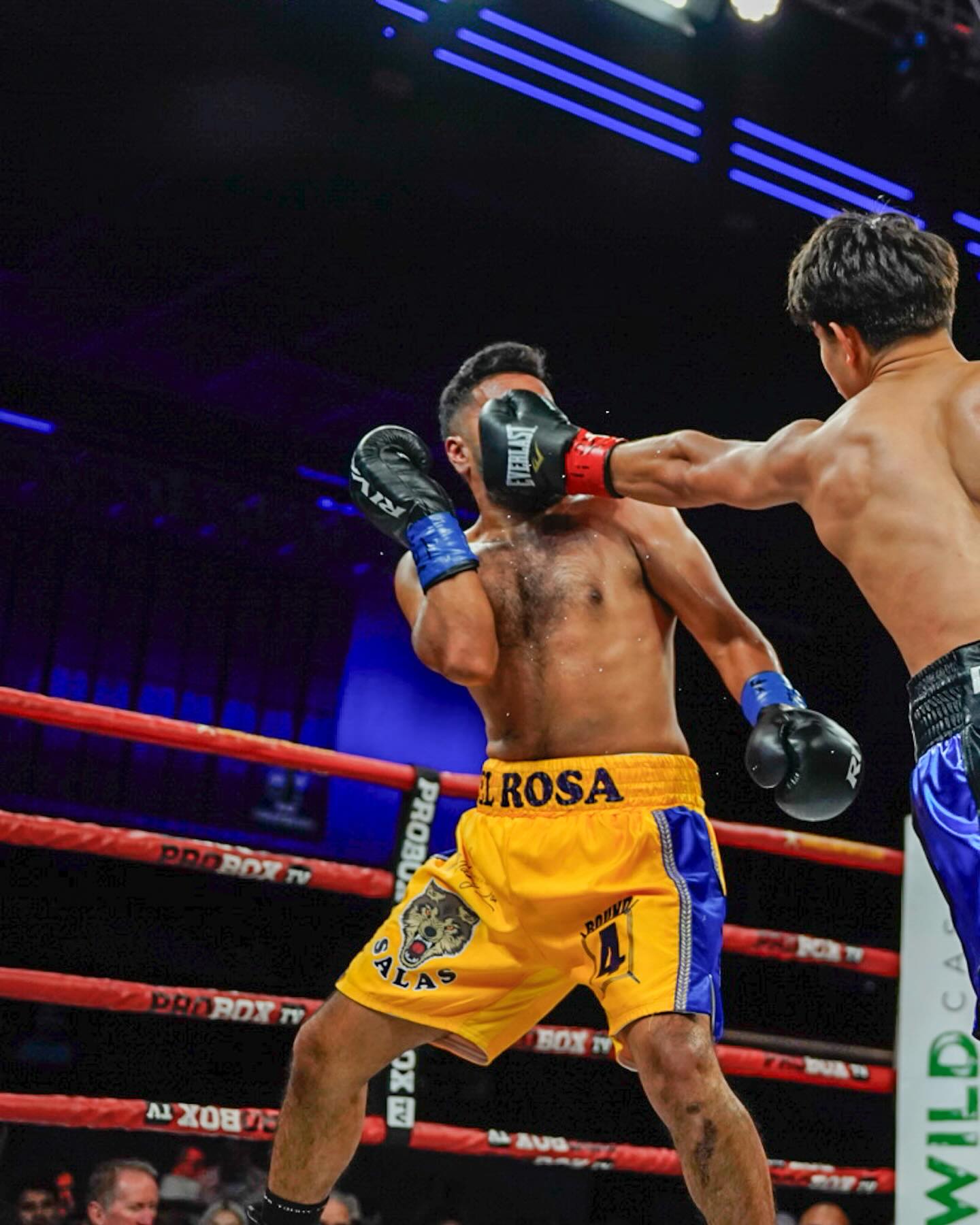 Amador Mendez fight photo 10